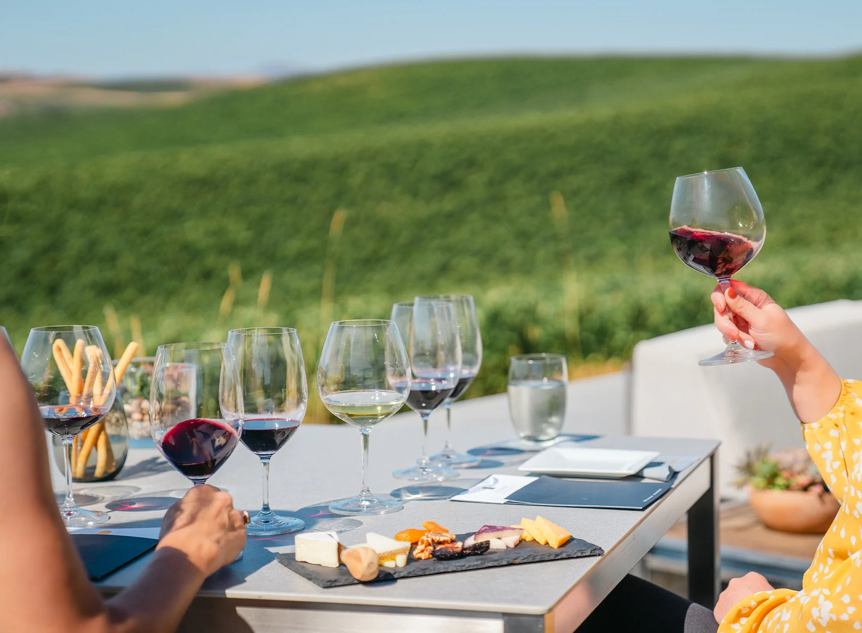Wine Tasting
